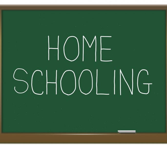 El sistema educativo aprobó el funcionamiento de las clases on line