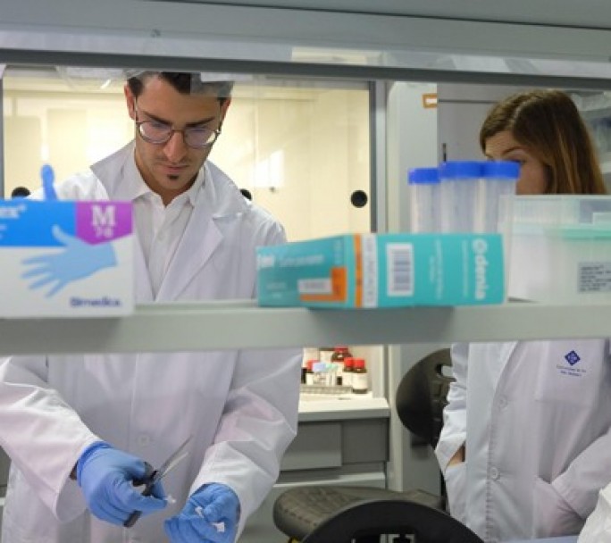 Las áreas relacionadas con servicios esenciales continúan con incremento en sus búsquedas