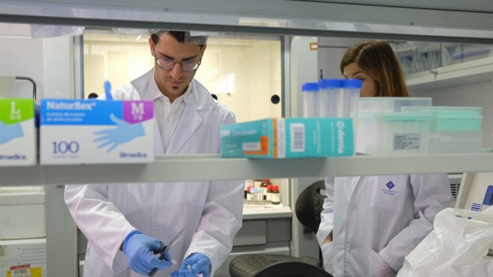 Las áreas relacionadas con servicios esenciales continúan con incremento en sus búsquedas