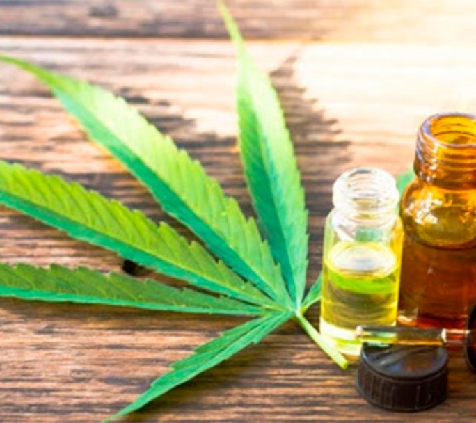 La Legislatura porteña inicia el debate sobre el uso de cannabis medicinal con fines terapéuticos