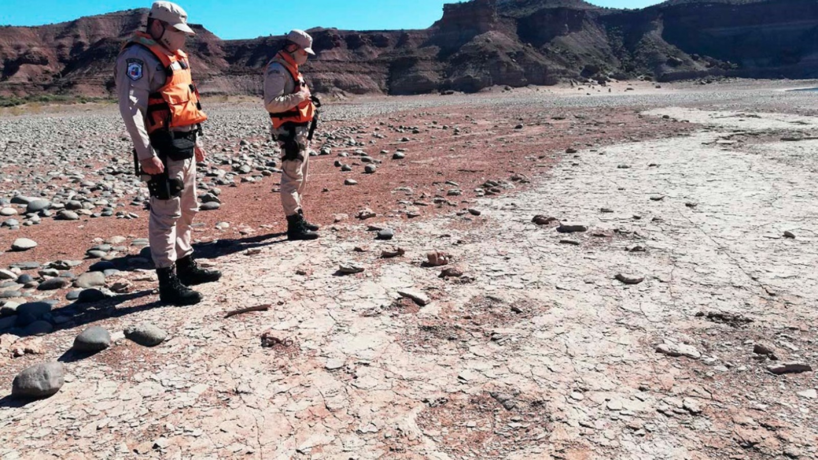 Encuentran huellas de un dinosaurio en la provincia de Neuquén