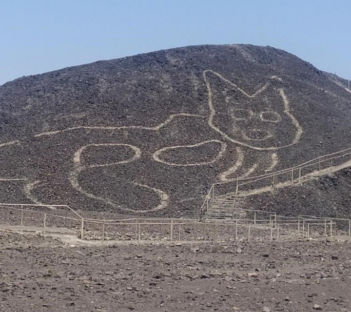 Descubren un nuevo geoglifo con la figura de un gato en Nazca