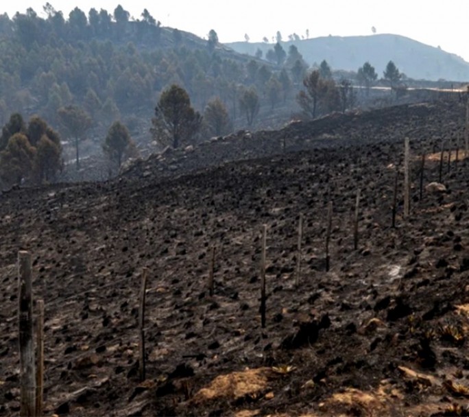 Gracias a las lluvias, se extinguieron todos los focos de incendio en Córdoba