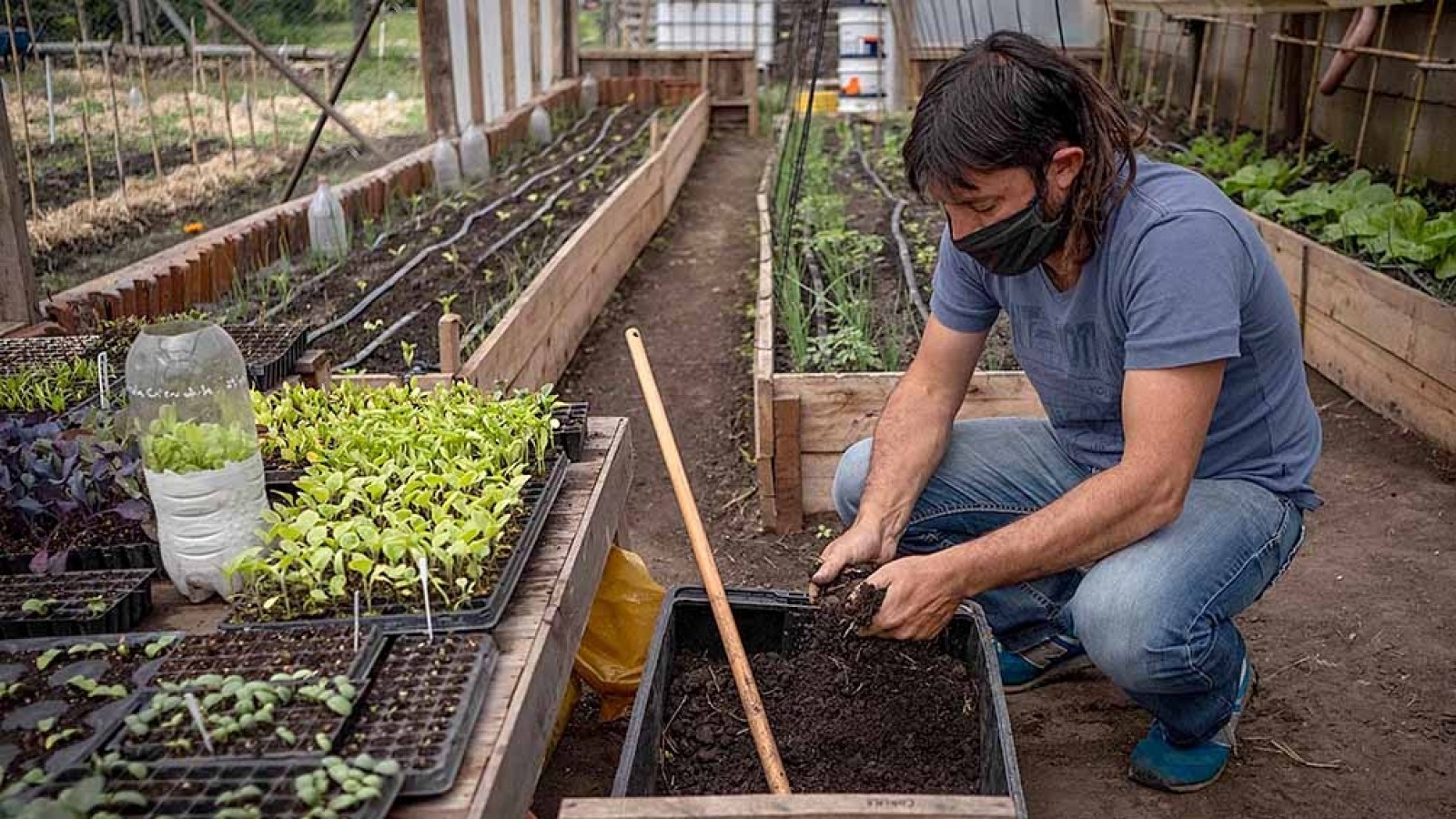 Tendencia: cada vez son más los argentinos que eligen comer sano
