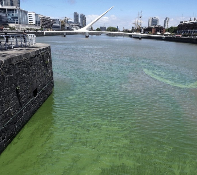 ¿Por qué las aguas del Río de la Plata presentan una tonalidad verdosa?