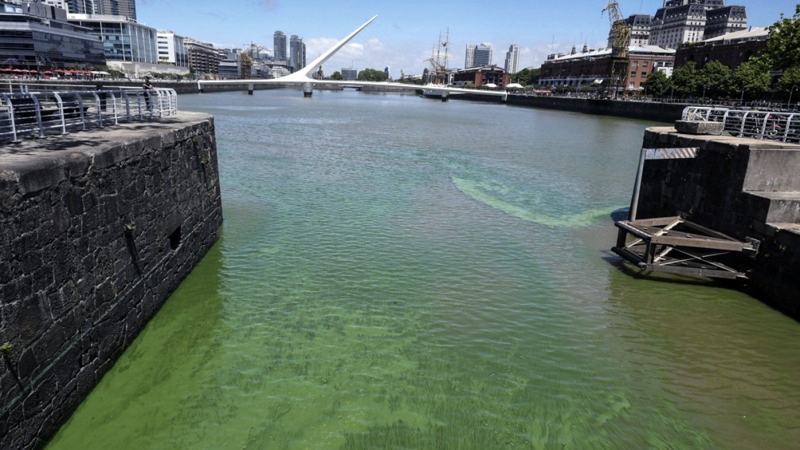 ¿Por qué las aguas del Río de la Plata presentan una tonalidad verdosa?