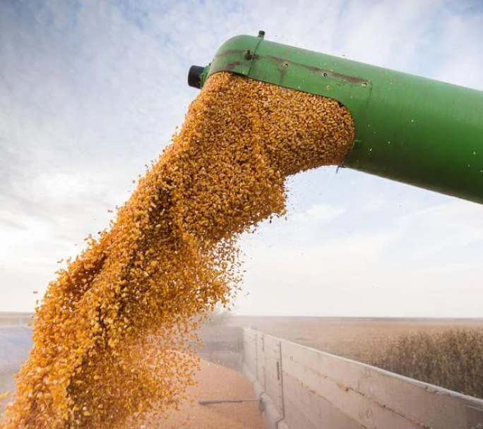 Otro problema para el gobierno, se desplomo el ingreso en dólares del campo