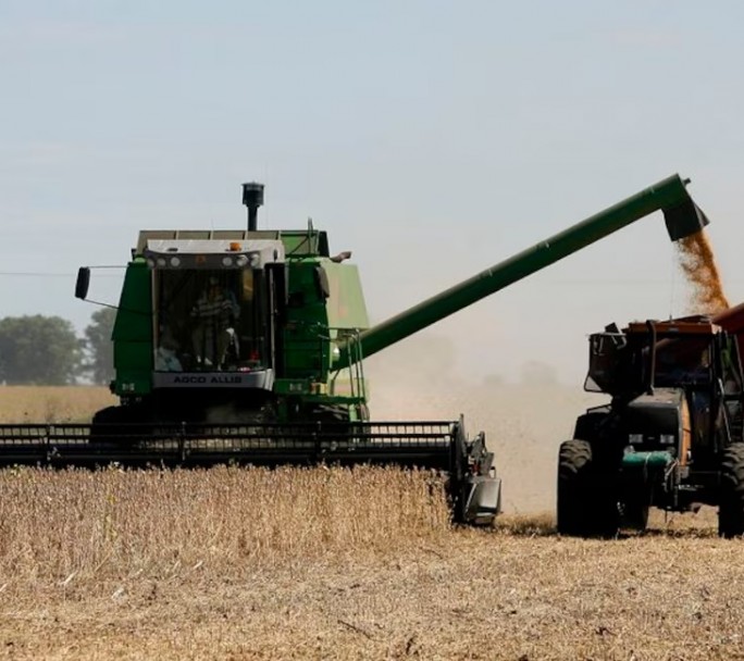 El Gobierno eliminó las retenciones a los granos para frenar la escalada del dólar
