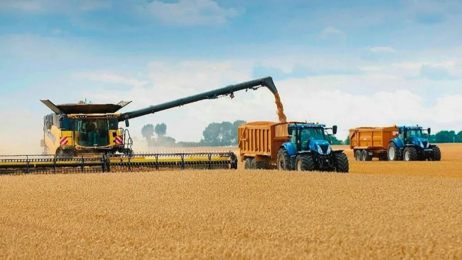 Tras la eliminacion de las retenciones , el campo declaro ventas por US$ 4.180 millones