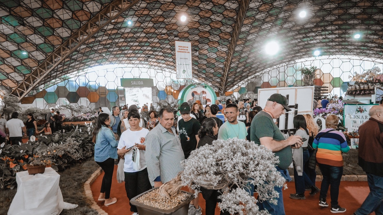 Fiesta Nacional de la Flor 2025: todo lo que hay que saber