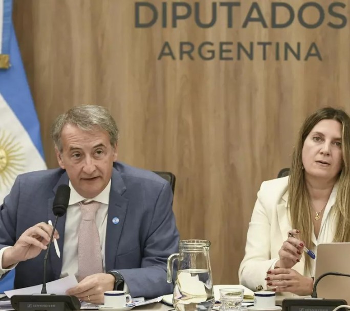 La oposición en Diputados busca dejar listo el dictamen de la ley que limita el uso de los DNU