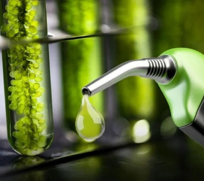 El Gobierno fijó los precios mínimos de adquisición para biocombustibles de octubre