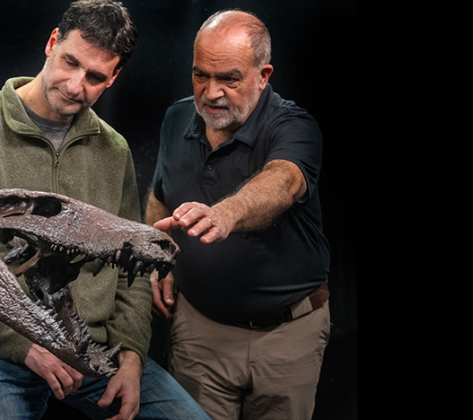 Tras el éxito en el fondo del mar, el Conicet buscará Dinosaurios en la Patagonia