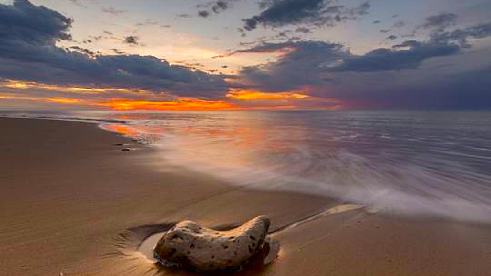 Así es la playa secreta de Buenos Aires: viven 20 personas y no hay hoteles ni avenidas