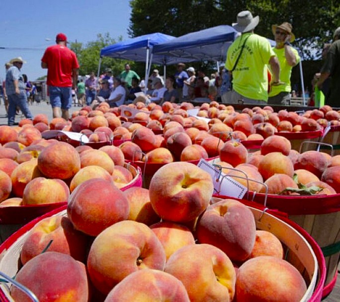 Fiesta del Durazno en Mercedes: cómo llegar desde Buenos Aires