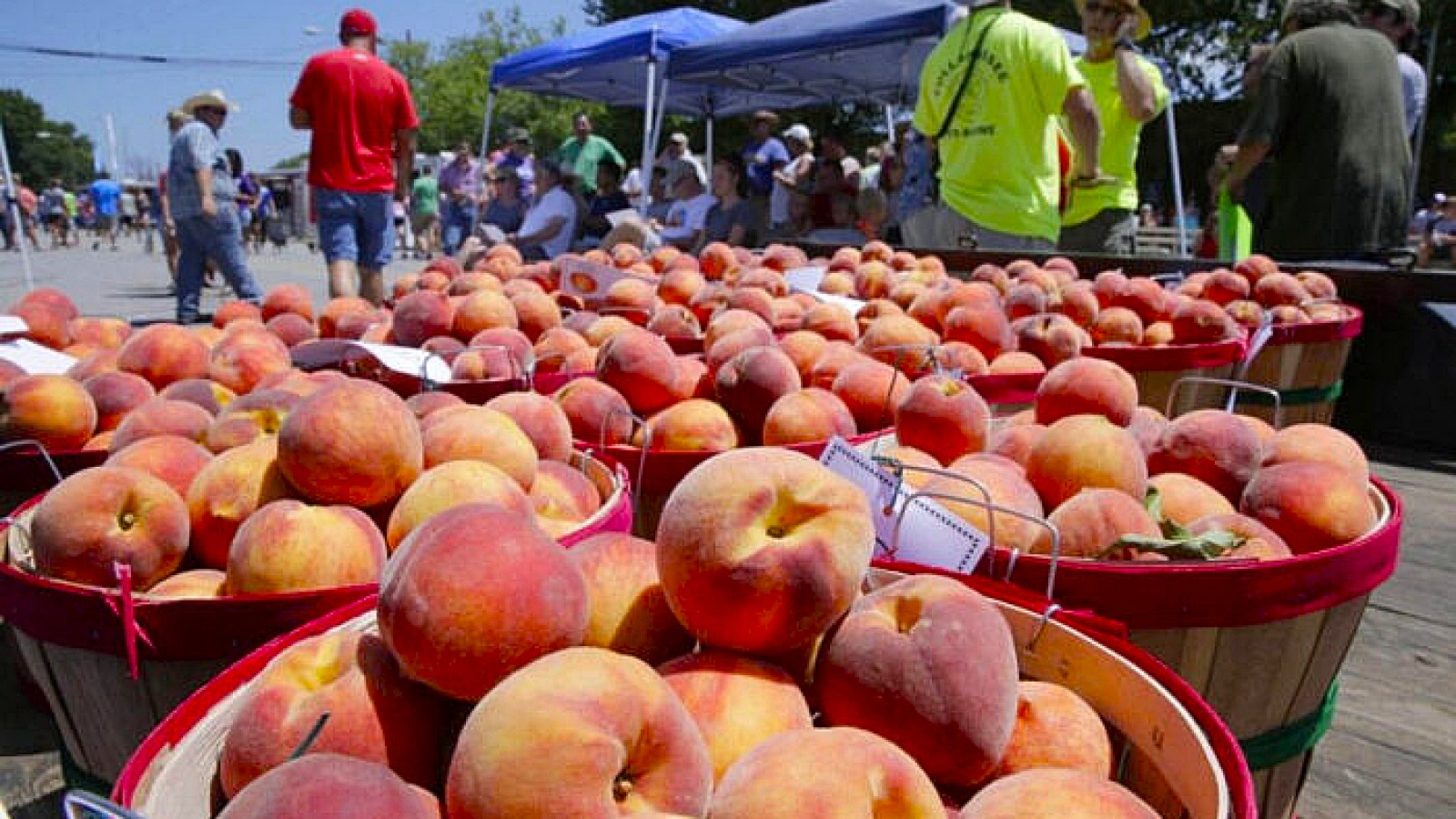 Fiesta del Durazno en Mercedes: cómo llegar desde Buenos Aires