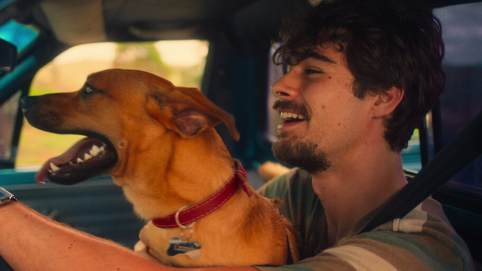 Netflix y las historias que emocionan: 4 películas que te tocarán el corazón