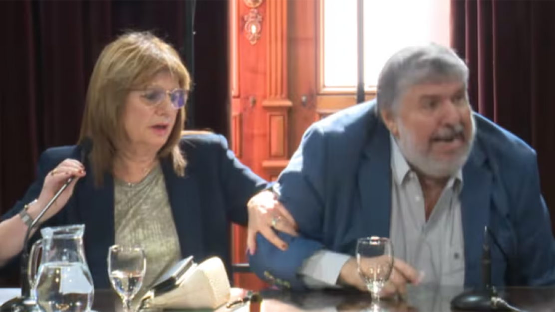 Furor en el Senado: Bullrich se quedó con una comisión clave para la reforma laboral y Mayans estalló en plena sesión