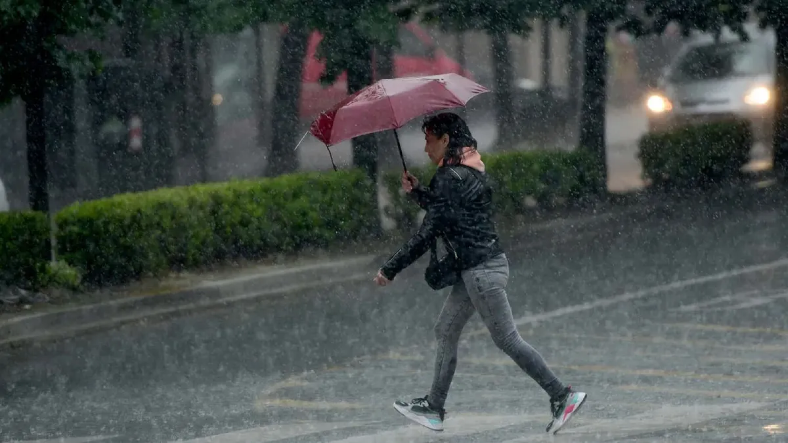 Alerta del SMN: tormentas fuertes y vientos activos para Buenos Aires y varias provincia