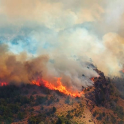 Ola de calor agrava la crisis por incendios forestales en Chubut