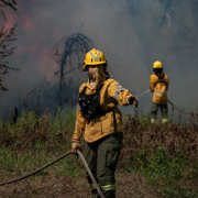 El Gobierno debate incorporar la emergencia ígnea en sesiones extraordinarias
