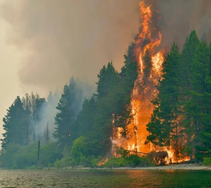 El Gobierno declaró zona de desastre a cuatro provincias por los incendios