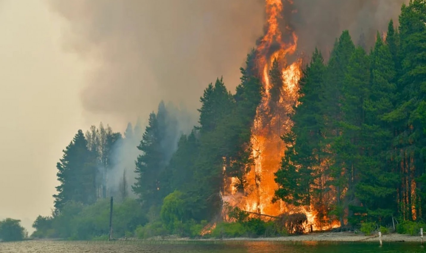El Gobierno declaró zona de desastre a cuatro provincias por los incendios