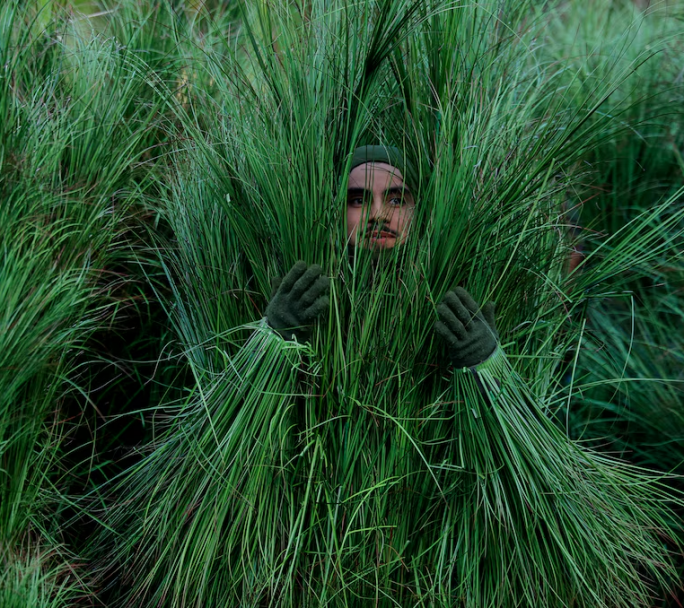 Bad Bunny hizo historia en el Super Bowl 2026: Una fiesta latina con Lady Gaga y Ricky Martin