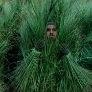 Bad Bunny hizo historia en el Super Bowl 2026: Una fiesta latina con Lady Gaga y Ricky Martin