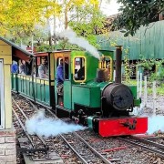 Un viaje en tren al pasado, así es la "Trochita" de Buenos Aires
