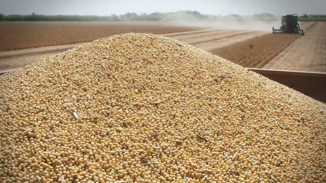 Alerta económica: cae la soja y se desploman las reservas del BCRA