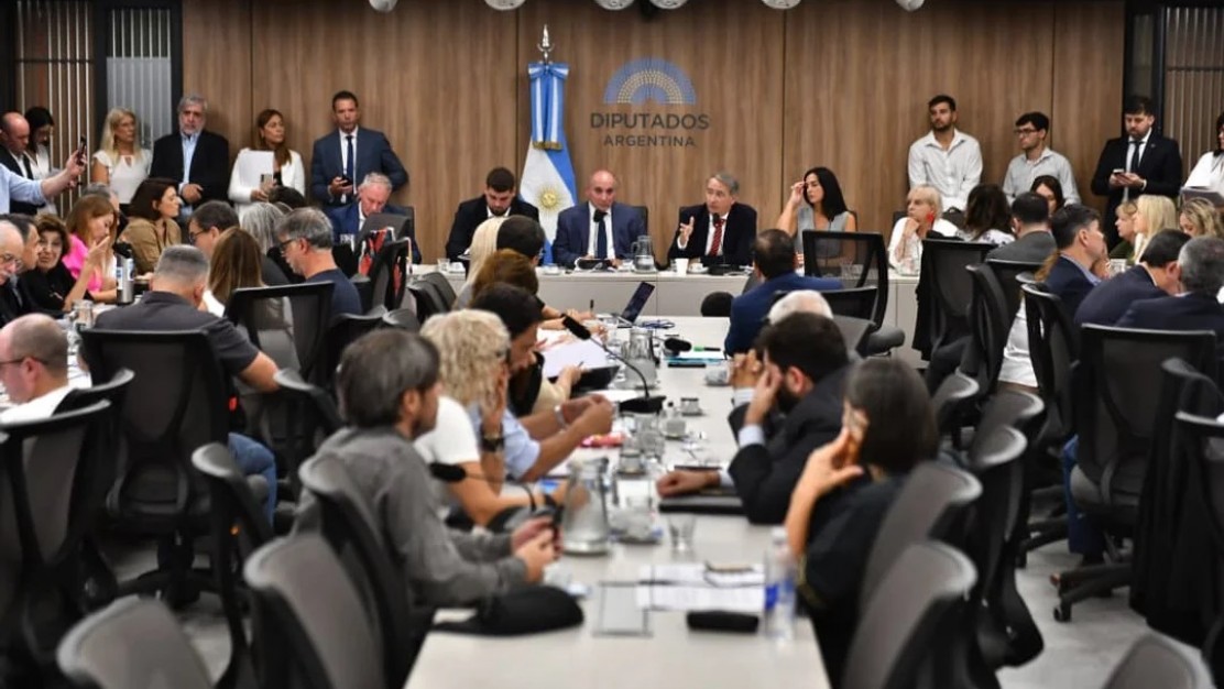 Glaciares en la mira: Arranca la audiencia pública en Diputados con clima de máxima tensión