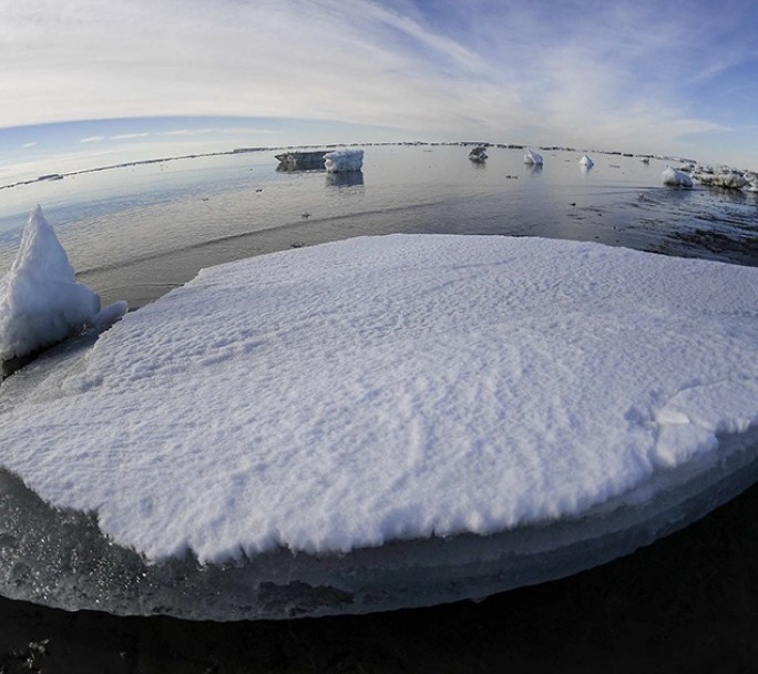 El 2020 fue el año más cálido en el mundo