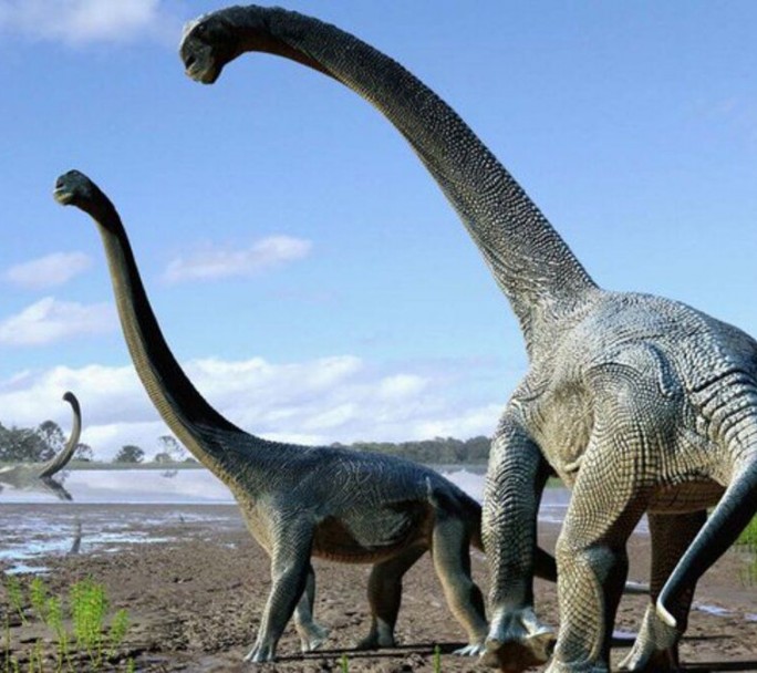 Hallan restos fósiles de una nueva especie de dinosaurio que podría ser el más grande de la historia