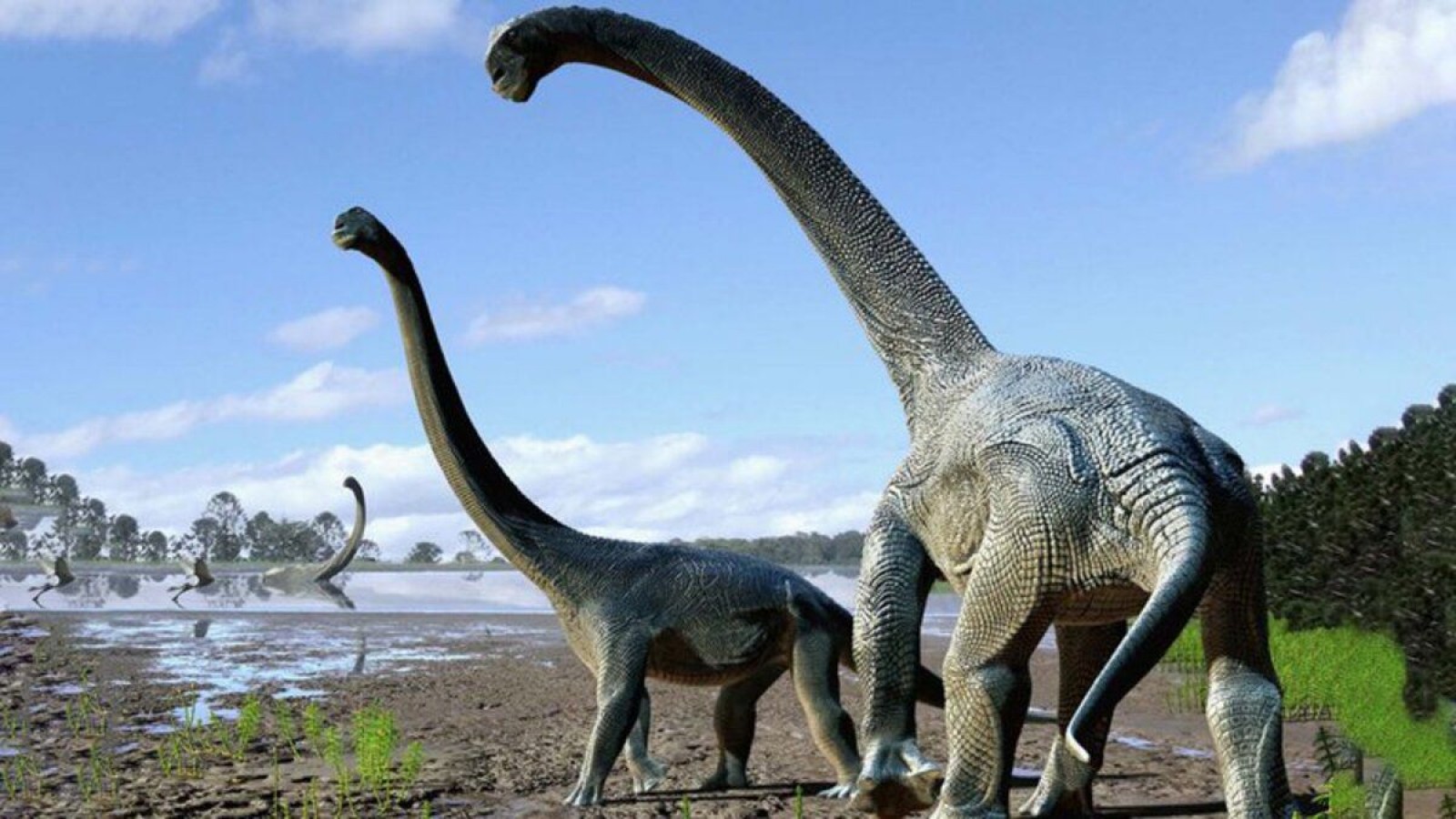 Hallan restos fósiles de una nueva especie de dinosaurio que podría ser el más grande de la historia