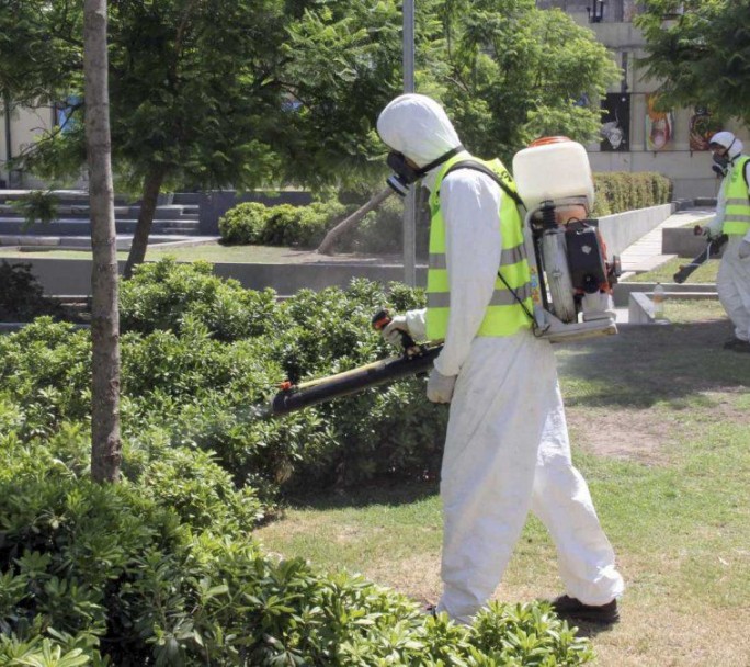 Insólito: La provincia de Salta enfrenta casos raros de corona-dengue y corona-salmonella