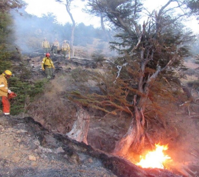 Un voraz incendio afectó a unas mil hectáreas de bosques cerca de El Bolsón