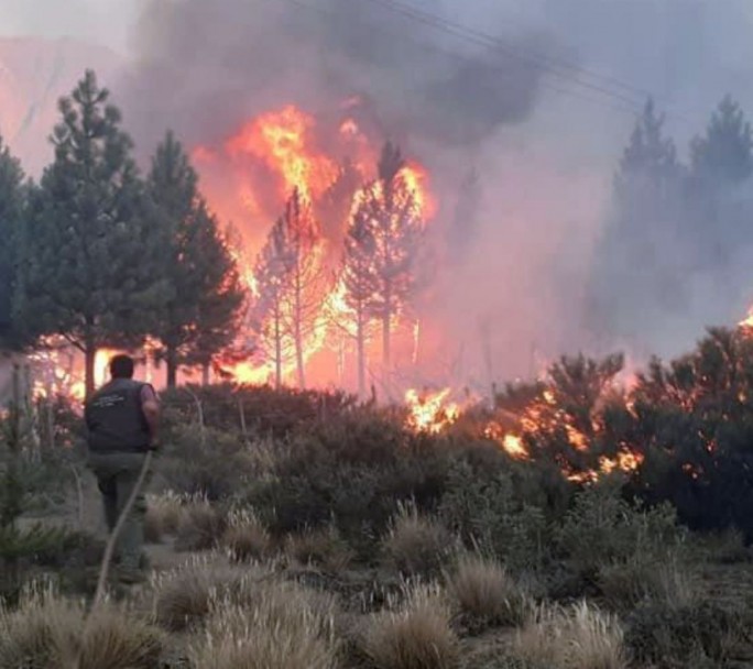 Los incendios en El Bolsón ya consumieron 10 mil hectáreas de bosques