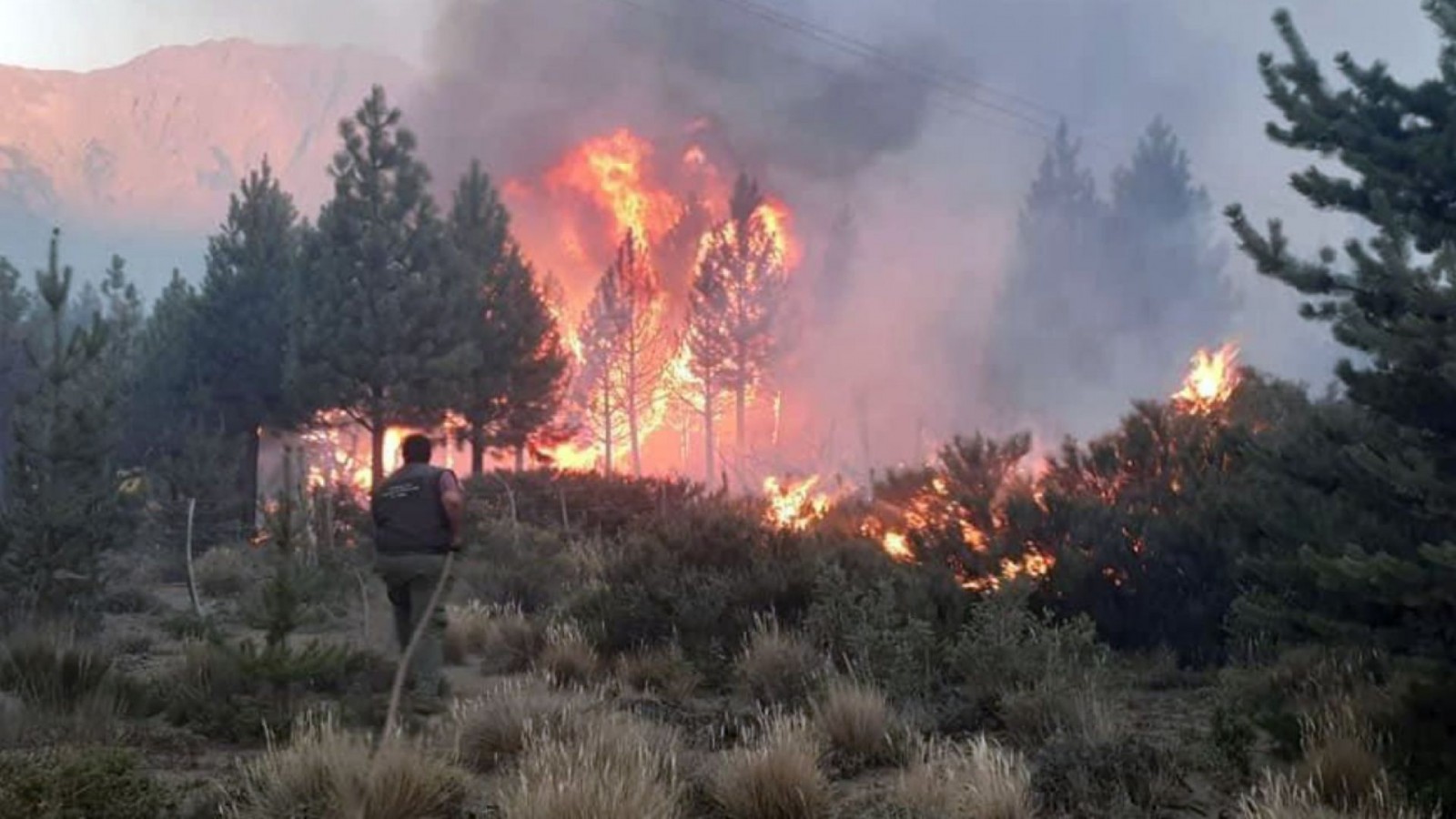 Los incendios en El Bolsón ya consumieron 10 mil hectáreas de bosques