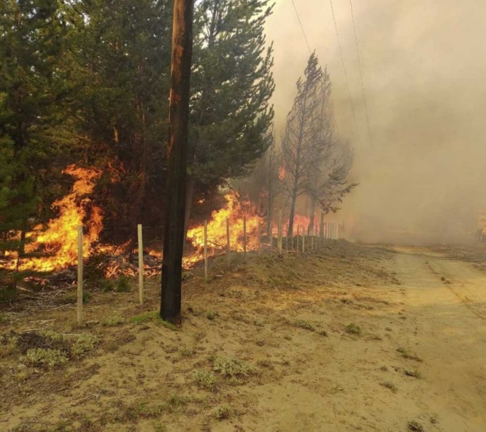 El daño ambiental en El Bolsón por el incendio forestal ya es el "más grande de la historia"