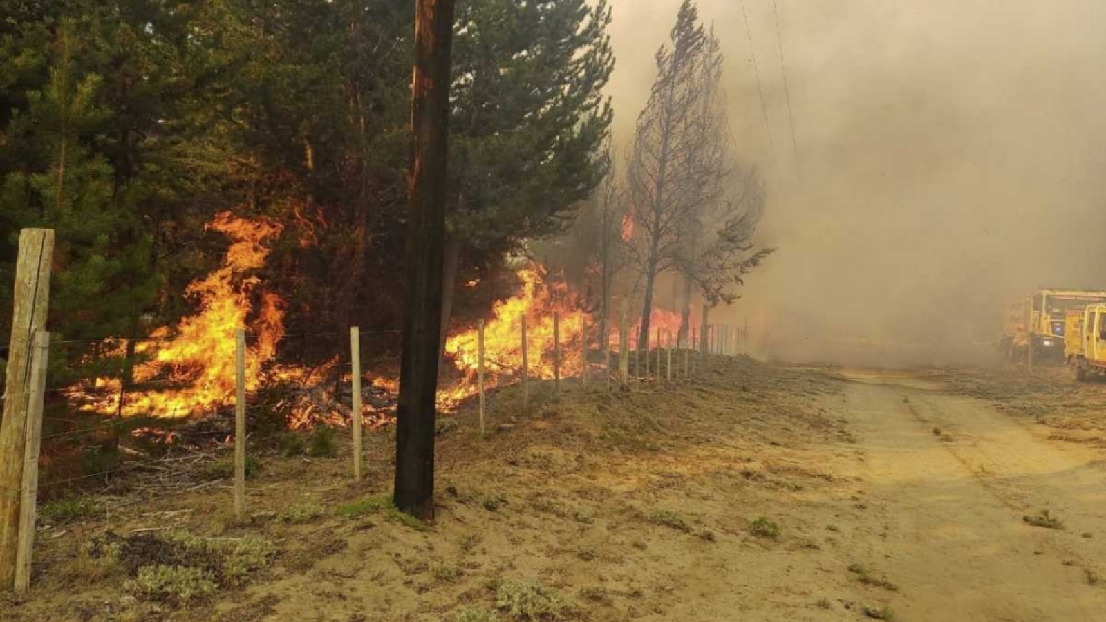 El daño ambiental en El Bolsón por el incendio forestal ya es el "más grande de la historia"