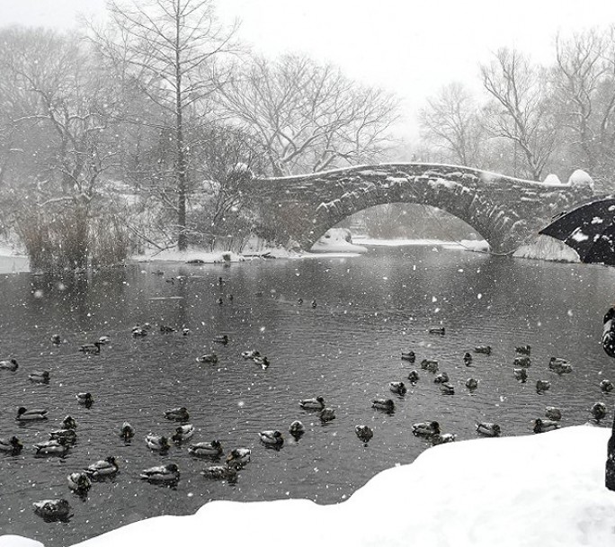 Así vive Nueva York una de las peores tormentas de nieve en la historia