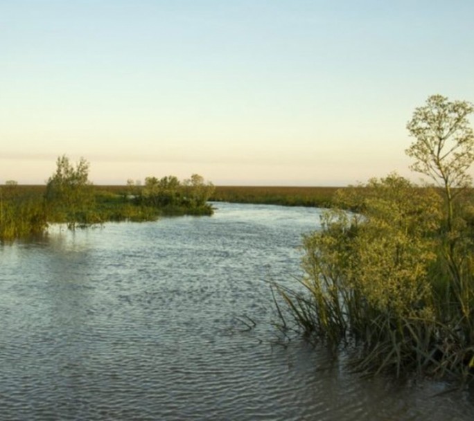 Apareció una nueva isla frente a las costas de San Isidro