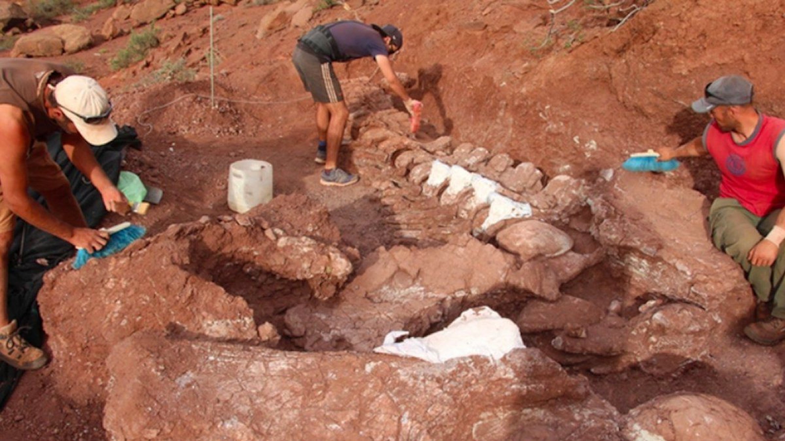 Anuncian que el titanosaurio más antiguo fue descubierto en la Patagonia
