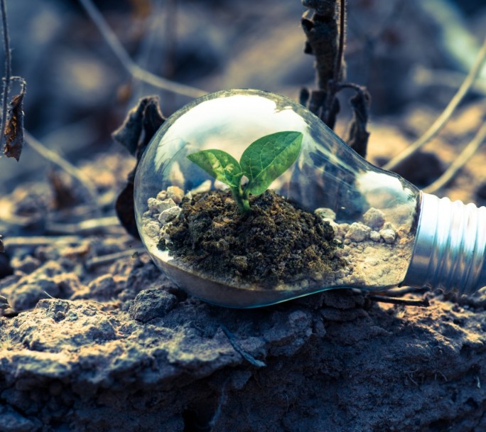 Bienvenida la conciencia