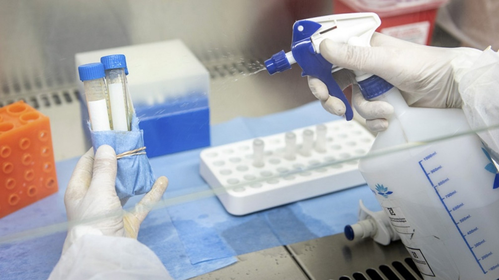 La OMS cambia el nombre de las variantes para "no estigmatizar" a países