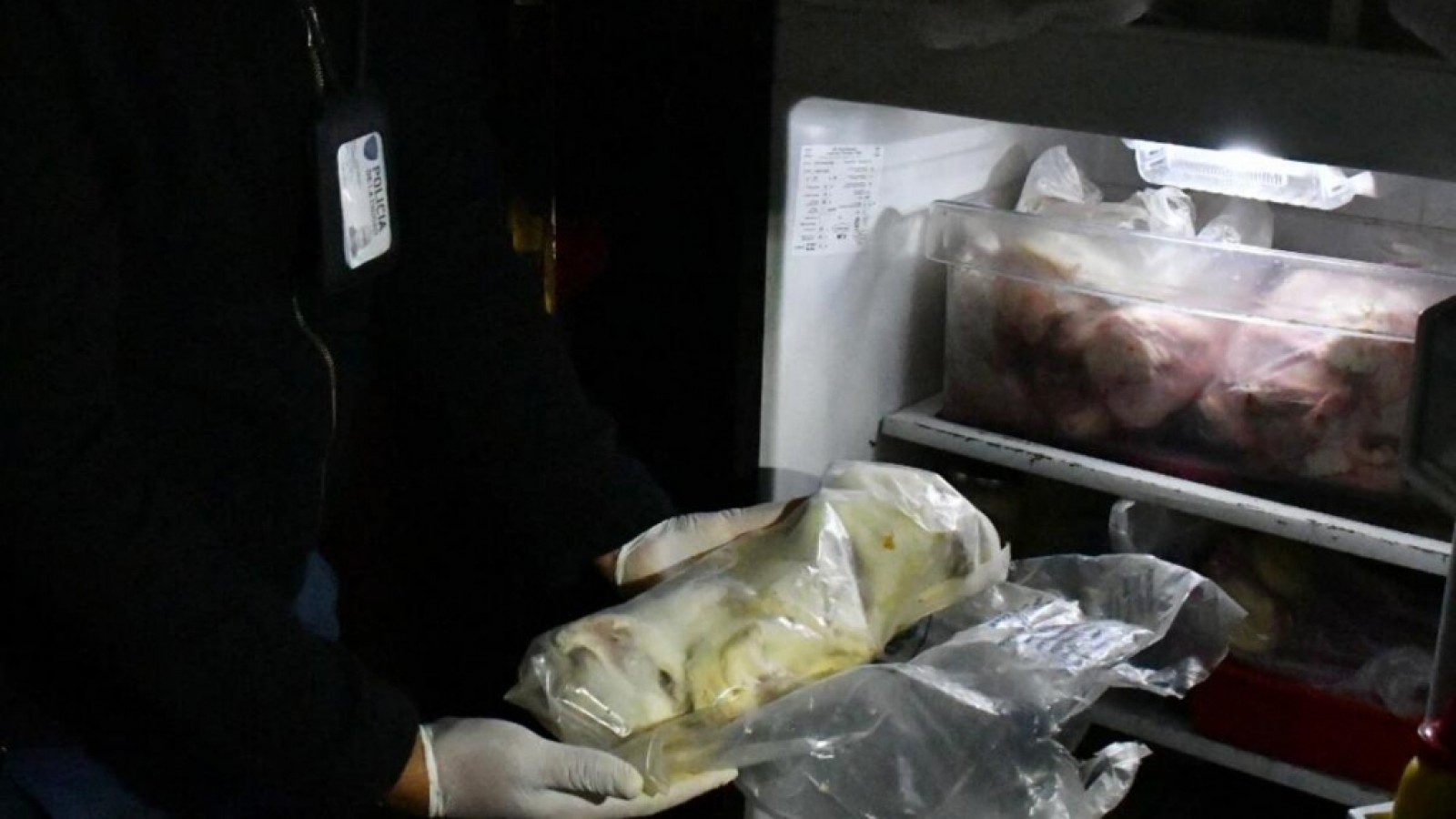 Rescatan 17 felinos y hallan animales muertos en una vivienda de Villa Crespo