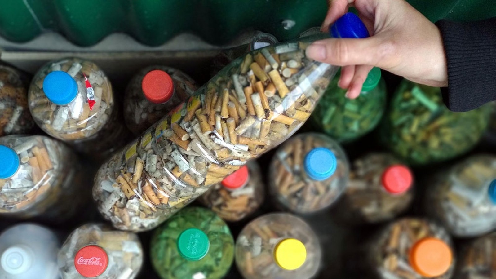 Ambientalistas recolectaron 500 mil colillas de cigarrillos de las calles de Ushuaia