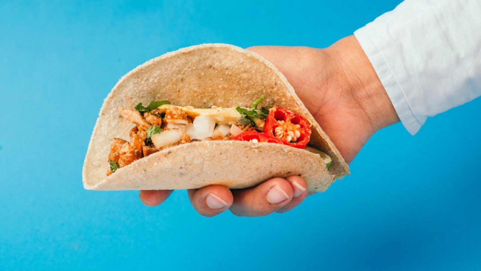 Comer alimentos elaborados con insectos no sería una mala idea