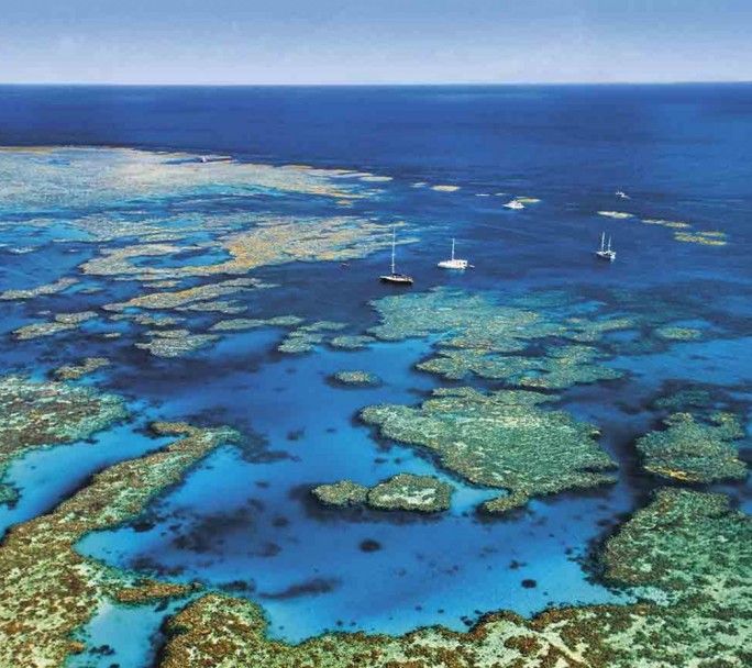 La Gran Barrera de Coral australiana podría dejar de ser la octava maravilla del mundo